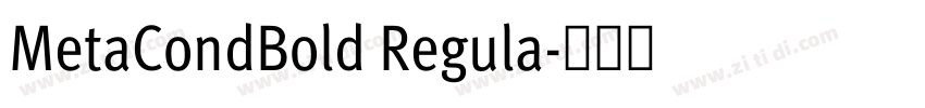 MetaCondBold Regula字体转换